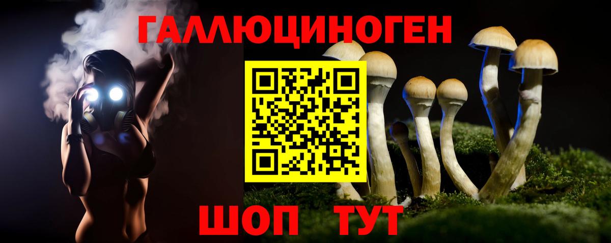 Псилоцибиновые грибы Psilocybe Россия